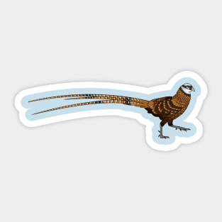 Reeves's pheasant bird cartoon illustration Sticker
